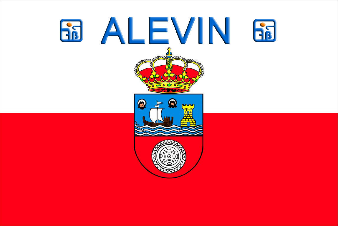 bandera alevin