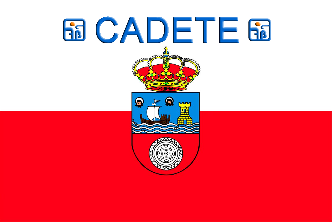 bandera cadete